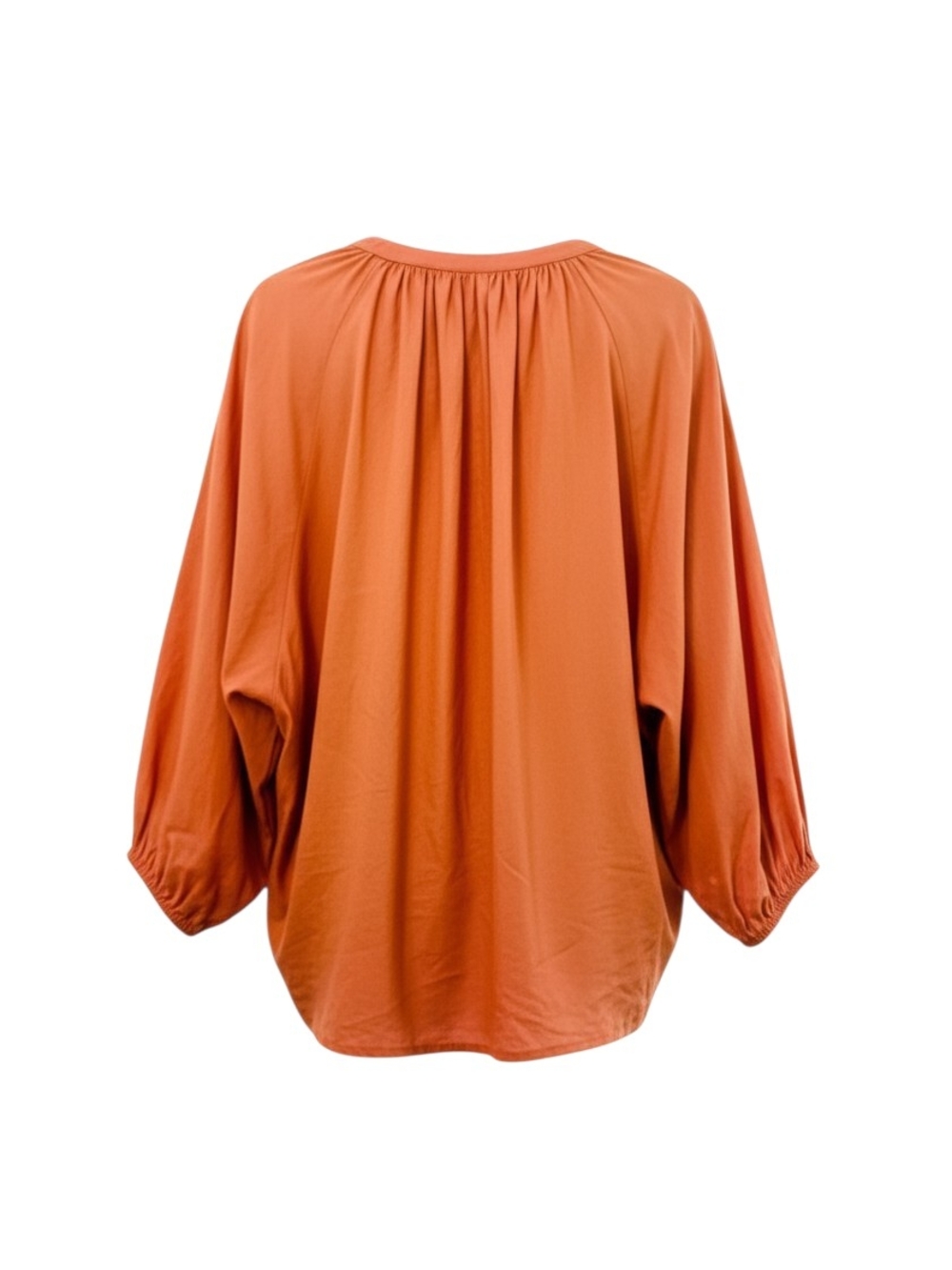 A New Day Linen Blend Rust Boho Blouse XXL | Tie Neck Peasant Top | Relaxed Flow - Picture 5 of 10